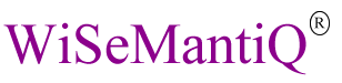 Wisemantiq